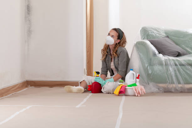 Reliable Mold Remediation contractor in Boonton, NJ by 24 Hour Mold Removal